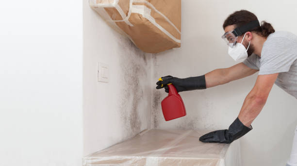 Professional Bathroom Mold Removal technician working in Martinsville, IL