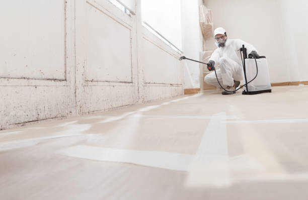 24/7 Emergency Bathroom Mold Removal experts in Martinsville, IL